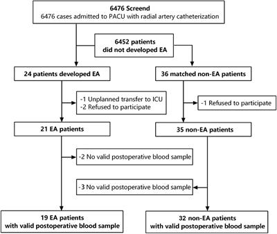 Identification of Serum Biomarkers Associated With Emergence Agitation After General Anesthesia in Adult Patients: A Metabolomics Analysis